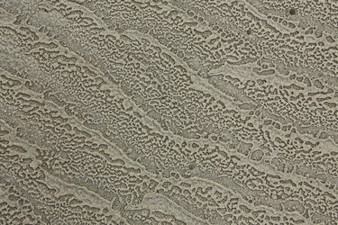 Similar image 13316637