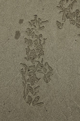 Similar image 13316639