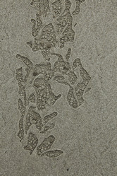 Similar image 13316641