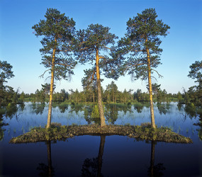 Similar image 13316653