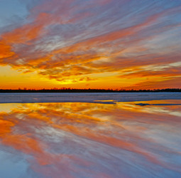 Similar image 13316654