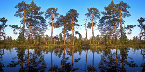 Similar image 13316655