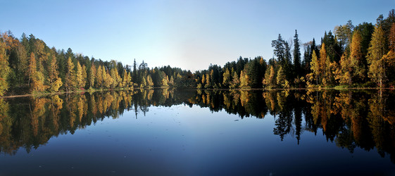 Similar image 13316667