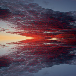 Similar image 13316663