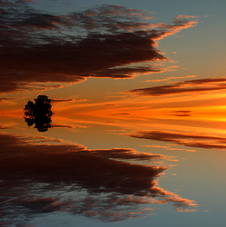 Similar image 13316666