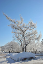 Similar image 13308869