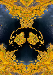 Similar image 13316687