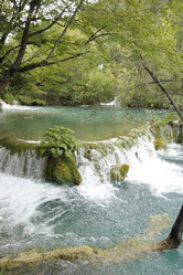 Similar image 13308890