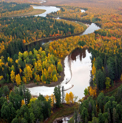 Similar image 13316732