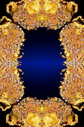 Similar image 13316734