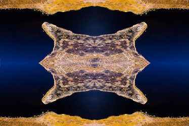 Similar image 13316735