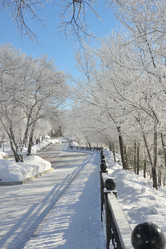 Similar image 13308897