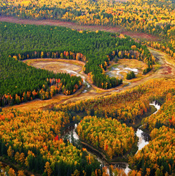 Similar image 13316752