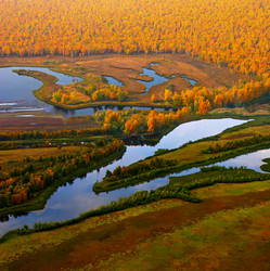 Similar image 13316815