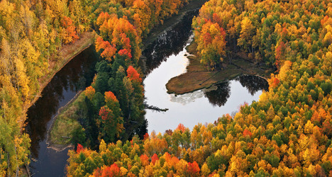 Similar image 13316831