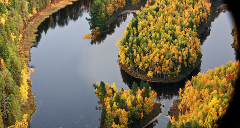 Similar image 13316834