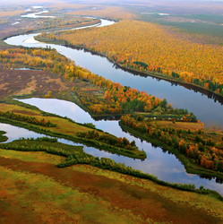 Similar image 13316835