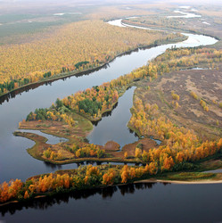 Similar image 13316750