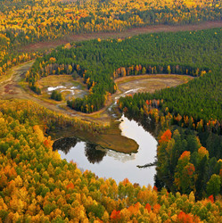 Similar image 13316604