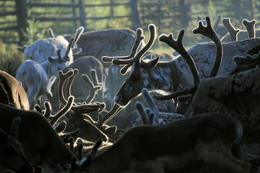 Similar image 13316626