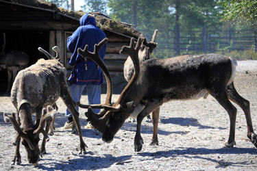 Similar image 13316628