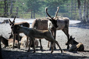 Similar image 13316632