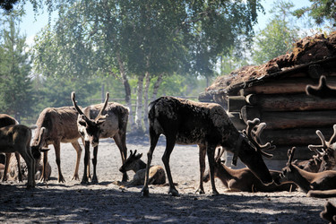 Similar image 13316636