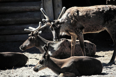 Similar image 13316638