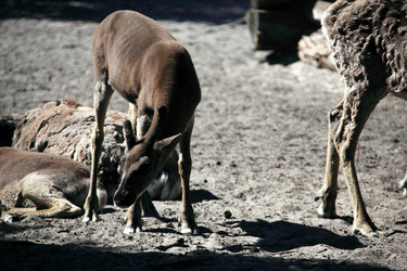 Similar image 13316640