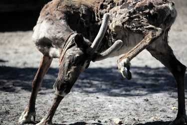 Similar image 13316642