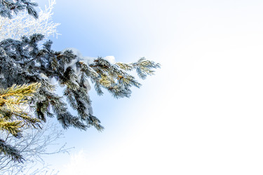 Similar image 13309202