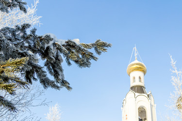 Similar image 13309205