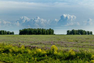 Similar image 13309206