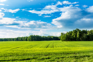 Similar image 13308878