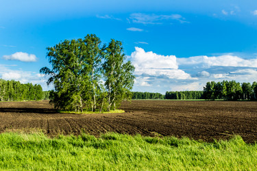 Similar image 13308880