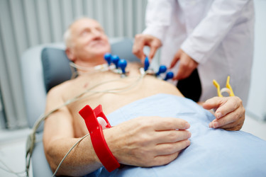 Similar image 13316249