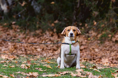 Similar image 13310306