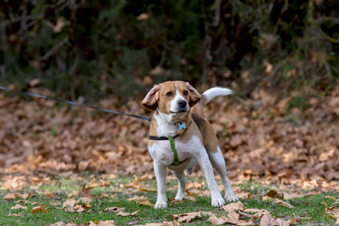 Similar image 13310316