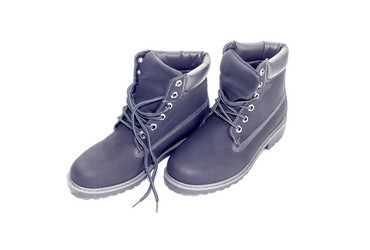 Similar image 13310317