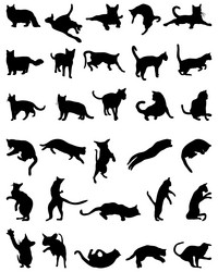 Similar image 13314351