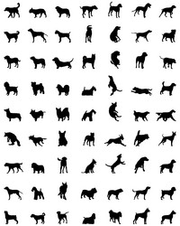 Similar image 13314358