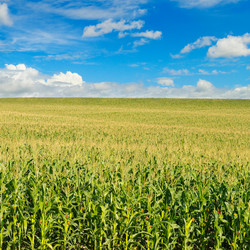 Similar image 13322396