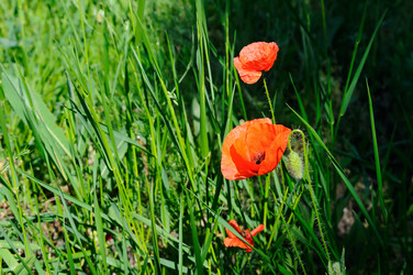 Similar image 13322408