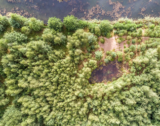 Similar image 13311448