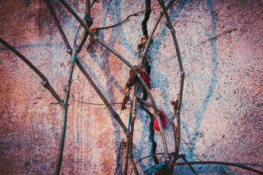 Similar image 13310620