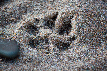 Similar image 13310627