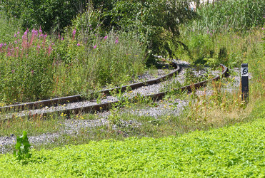 Similar image 13308921