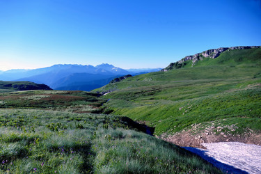 Similar image 13310338