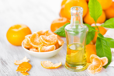 Similar image 13310849