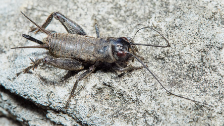 Similar image 13310601